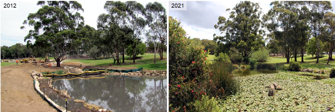 Mars Creek wetland earthworks and rehabilitation, Macquarie University, 2012-2021. © John Macris.