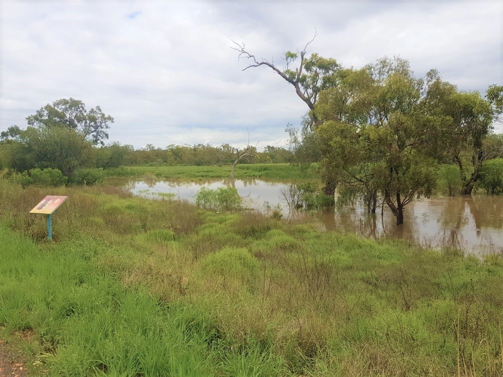 View from the Window on the Wetlands Centre over the Tiger Bay wetlands at Warren. © Shona Whitfield.